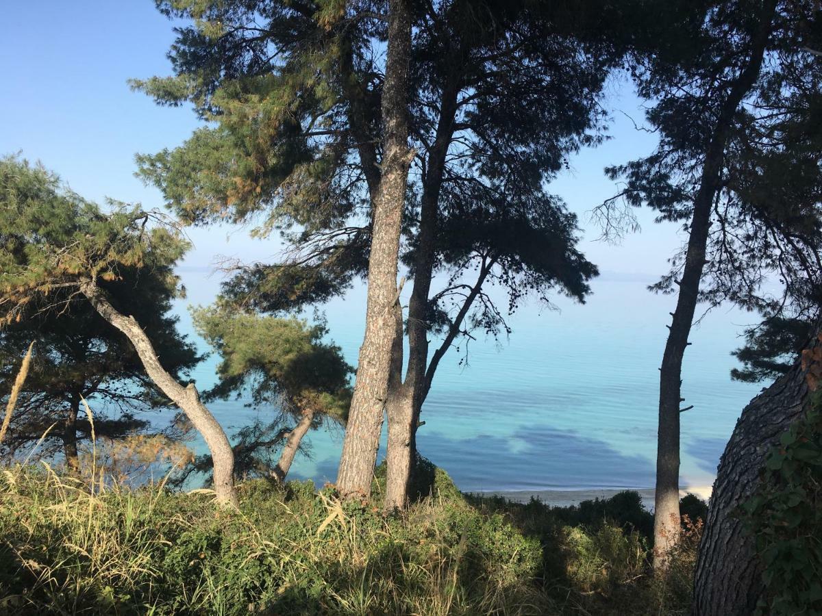 Villa Adria 크리오피지 외부 사진